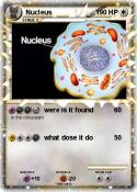 Nucleus