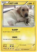 LAZY LAB
