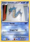 Cody's Gyarados