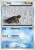Turtle