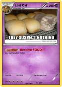 Loaf Cat