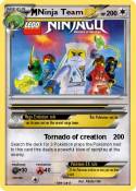 Ninja Team