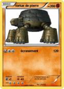 tortue de pierr