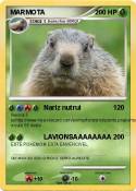 MARMOTA