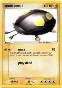 anode beetle