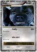 Fluffy