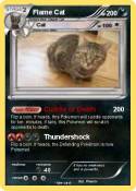 Flame Cat