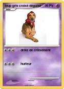 loup gris crois