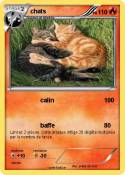 chats