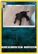 COCO