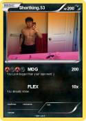 Shortking.53