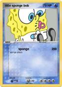 little sponge
