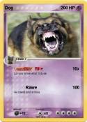 Dog