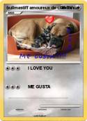 bullmastiff amo