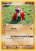 Puggo XEY