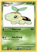 Turtwig