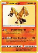 Condorfuego