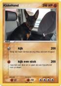 KloteHond