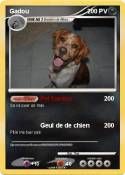 Gadou