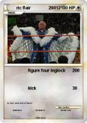 ric flair 29012
