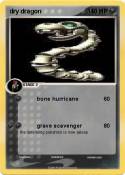 dry dragon