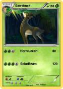 Sawsbuck