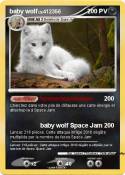 baby wolf