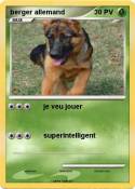 berger allemand