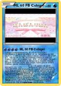 ML 60 FB Cubige