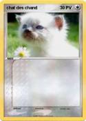 chat des chand