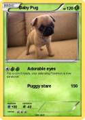 Baby Pug