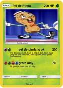 Pel de Pinda