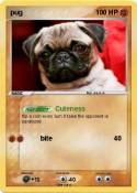 pug