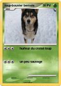 loup-bouvier