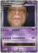 Gorillapapa