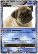 puppy