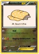 Burrito Cat