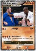 Tedi Riner judo