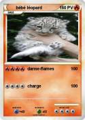 bébé léopard