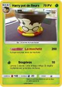 Harry pot de