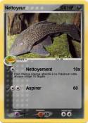Nettoyeur