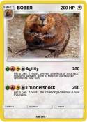 BOBER