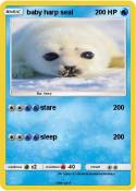 baby harp seal