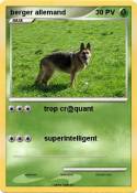berger allemand