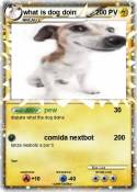 what is dog doi