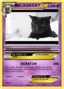 BLACKCAT