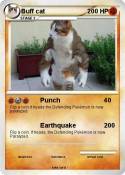 Buff cat