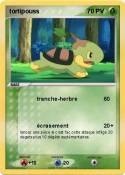 tortipouss