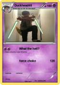 Duckhead48