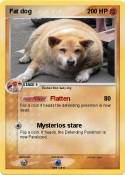 Fat dog